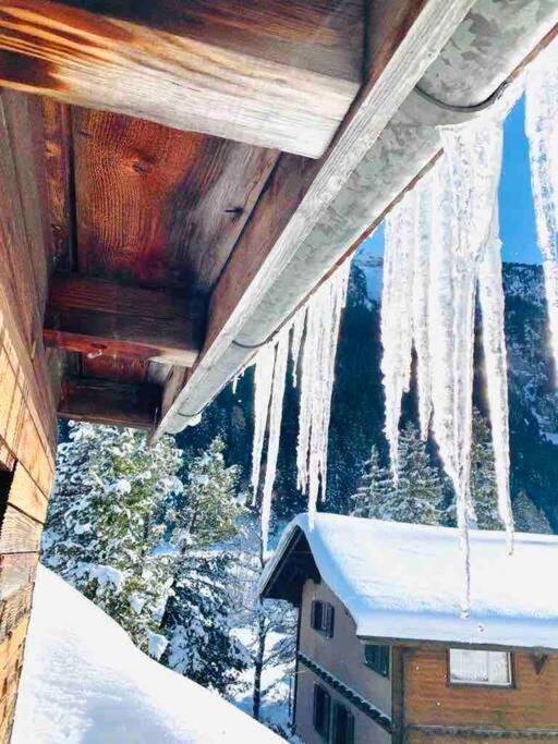 Cozy Apartment In Vintage House In Kandersteg Dış mekan fotoğraf